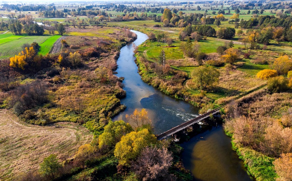 Curvy Nida River Bends in Swietokrzyskie,Poland. Aerial Drone View