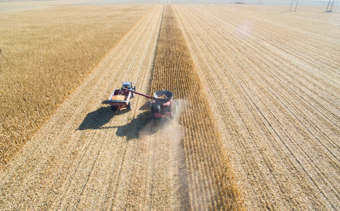 Aerial View of Agriculture Combine Corn Harvest