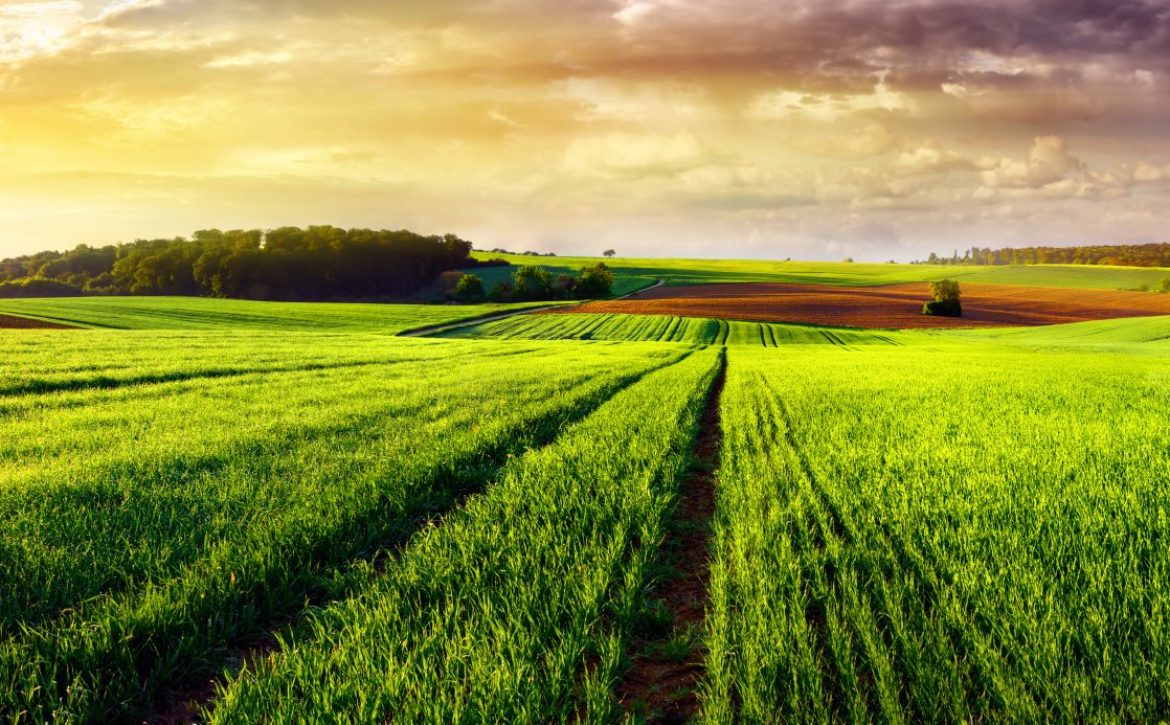 Rural landscape sunset panorama