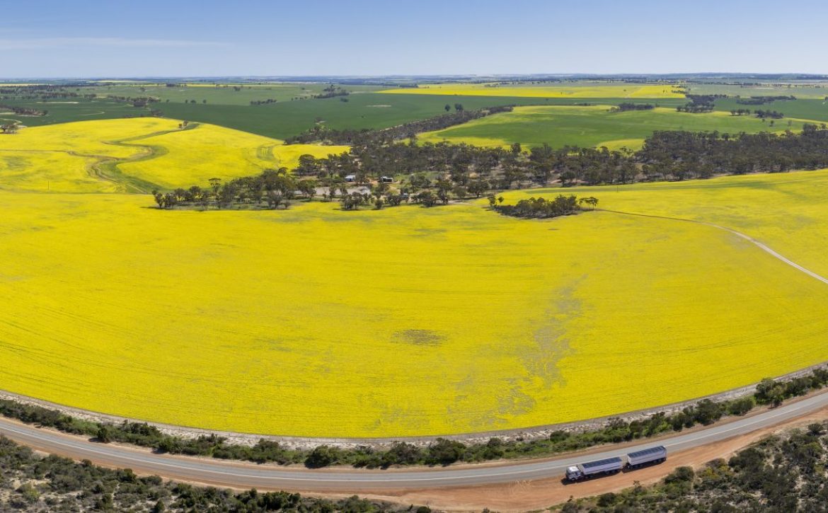 Aerial panoramic view of canola fields next to a  section of highway 40 in the wheatbelt region of Western Australia