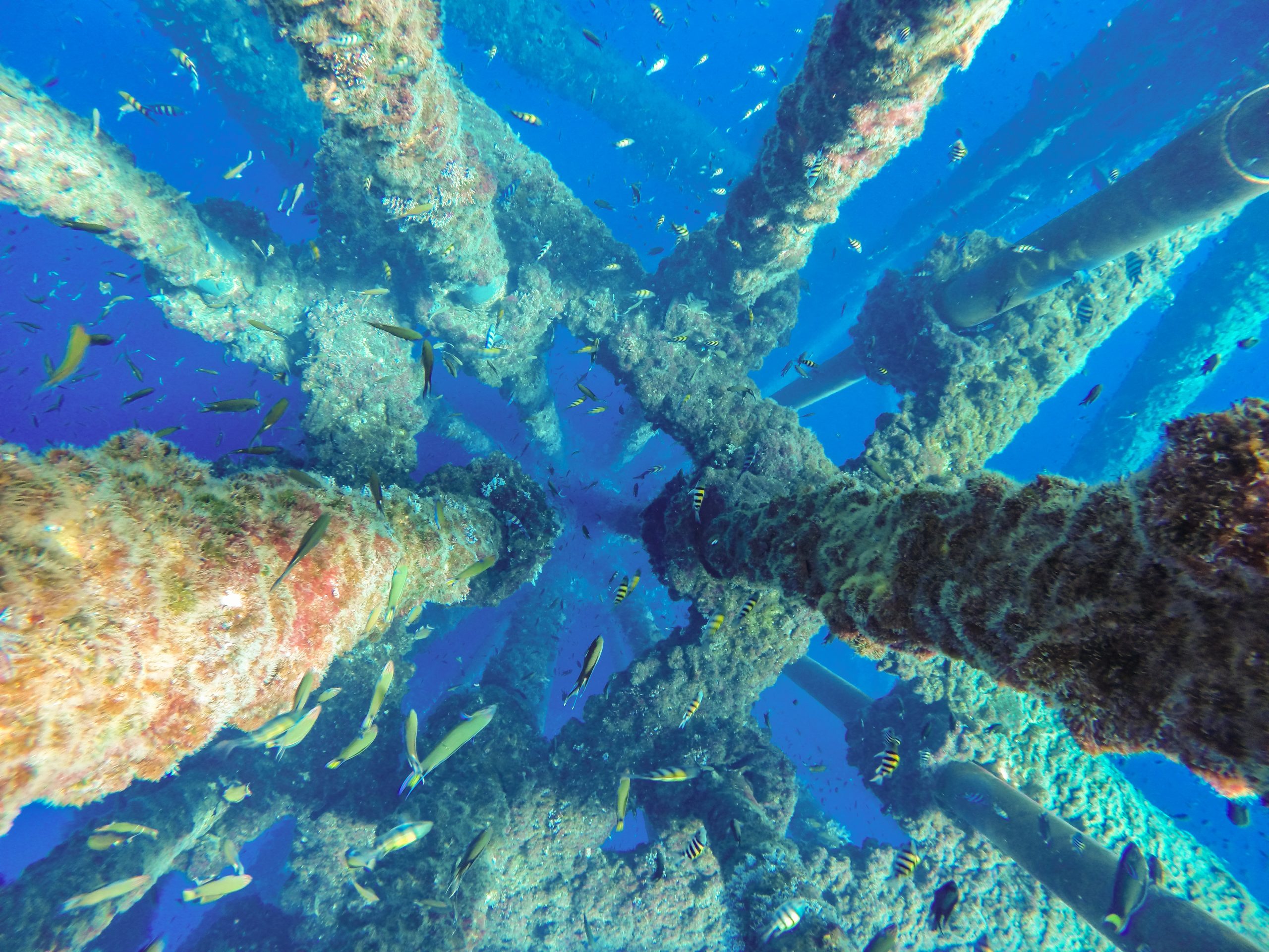 Oil and gas wellhead platform, Driving under water shooting in low light, productiontubing casing and platform structure with marine growth and rust.